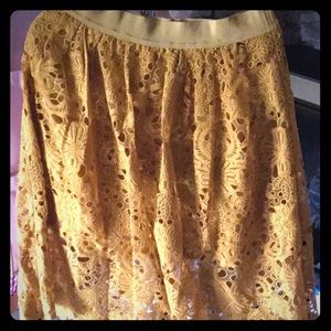 Ann Taylor elastic waist, lace skirt